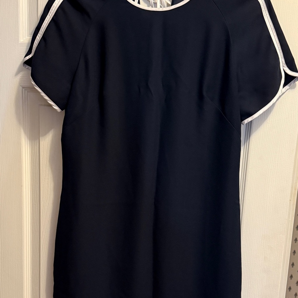 Banana Republic Sporty Blue and White Dress